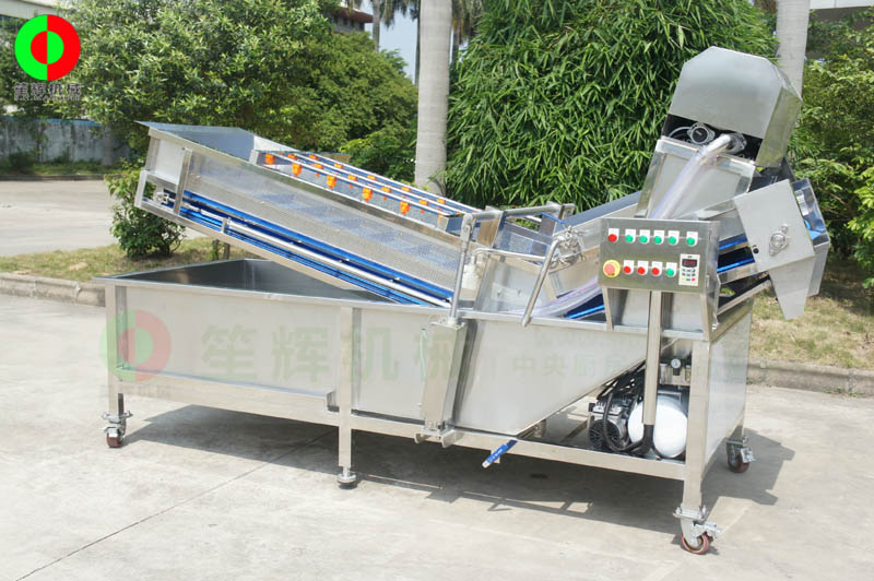 全網(wǎng)鏈輸送洗菜機(jī)