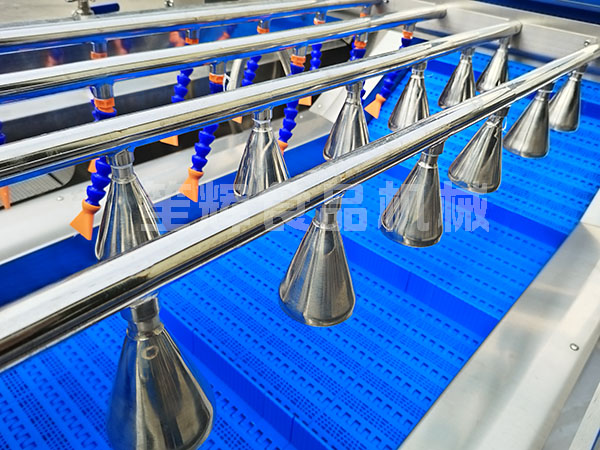 無(wú)損清洗機(jī)