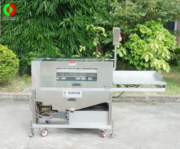 全動(dòng)自殺魚(yú)機(jī)