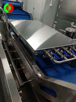 珠海市客戶蔬果無損清洗處理生產(chǎn)線現(xiàn)場(chǎng)