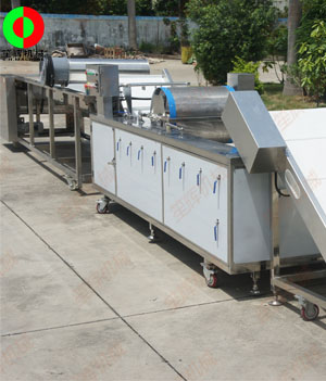 國(guó)外客戶訂制的藍(lán)莓自動(dòng)清洗分選生產(chǎn)線順利生產(chǎn)完成測(cè)試中！