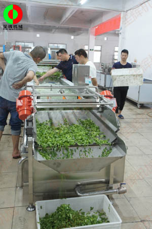 客戶親臨我司實地考察工廠及蔬果切割清洗生產(chǎn)線設(shè)備！