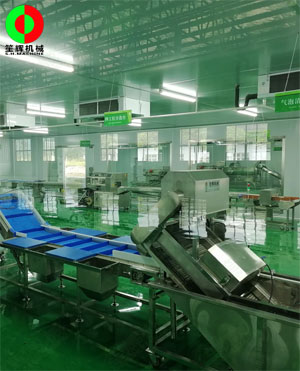 廣西蒙山標(biāo)準(zhǔn)化凈菜加工車間項(xiàng)目，毛菜加工車間順利完工！