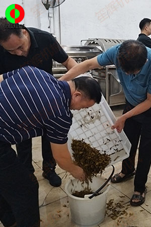 客戶(hù)來(lái)廠(chǎng)測(cè)試驗(yàn)貨果蔬清洗加工設(shè)備！