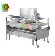 水果清洗機/瓜果清洗機/水果毛刷清洗機(深度清洗)QM-2(視頻) 水果清洗機/瓜果清洗機/水果毛刷清洗機(深度清洗)QM-2(視頻)