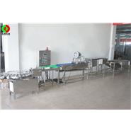 打蛋生產(chǎn)線/清洗、風(fēng)干、光檢、24頭打蛋生產(chǎn)線(視頻)