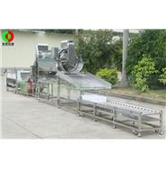 鯪魚加工生產(chǎn)線/豆豉鯪魚生產(chǎn)線/魚類加工生產(chǎn)線 鯪魚加工生產(chǎn)線/豆豉鯪魚生產(chǎn)線/魚類加工生產(chǎn)線