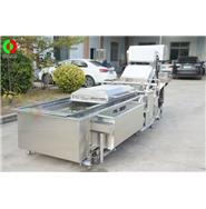 全網(wǎng)鏈氣泡洗菜機/氣泡洗菜機/ 網(wǎng)鏈輸送洗菜機 Q-42B 全網(wǎng)鏈氣泡洗菜機/氣泡洗菜機/ 網(wǎng)鏈輸送洗菜機 Q-42B